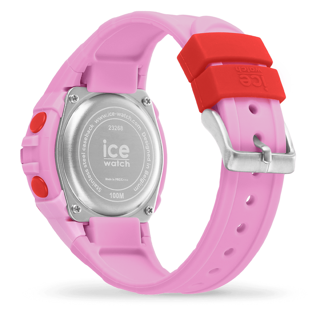 ICE digit explorer