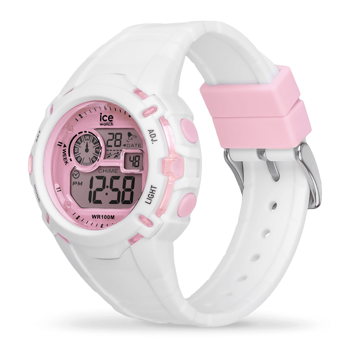 ICE digit explorer