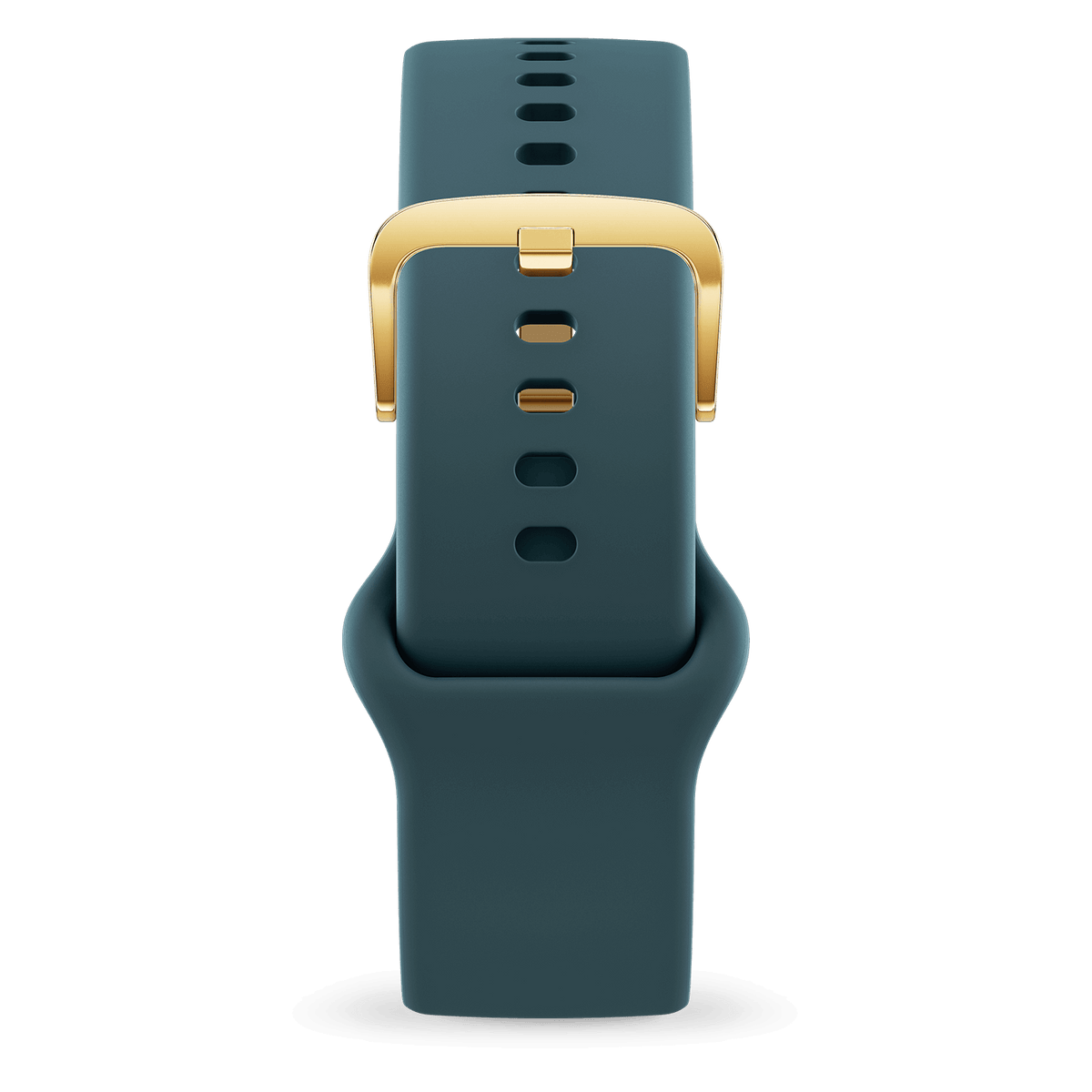 Band 1.70