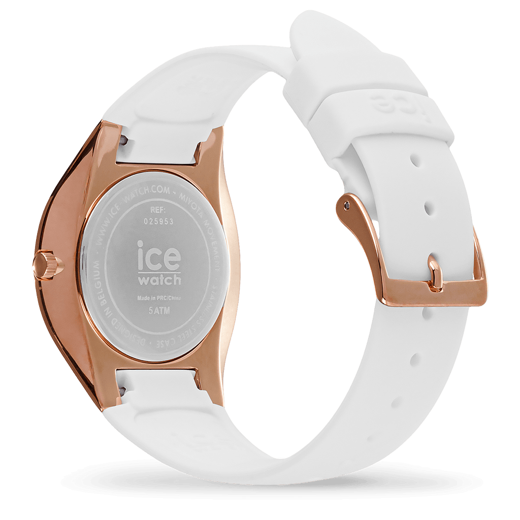 ICE bubble